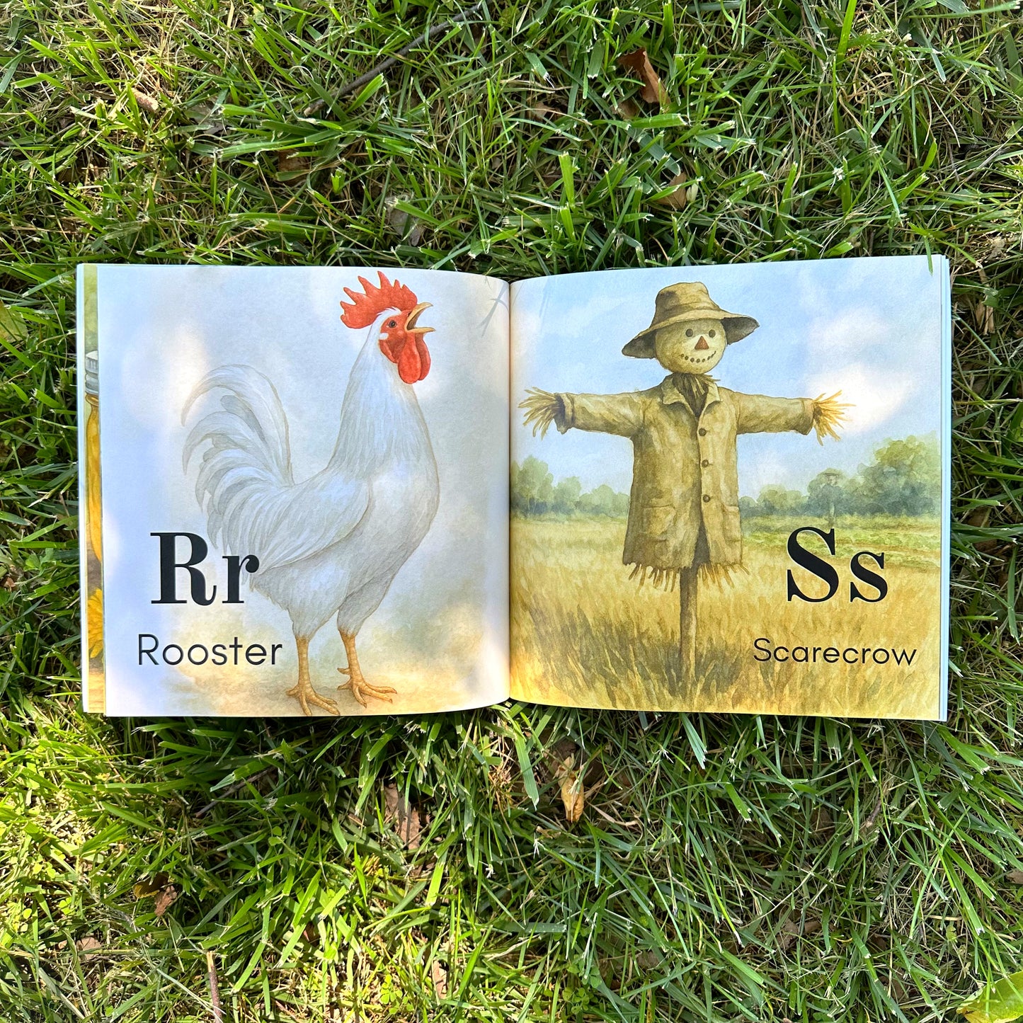 ABC: The Homestead Edition Children's Picture Book